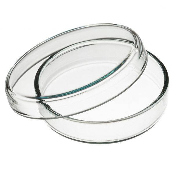 Petri Dishes